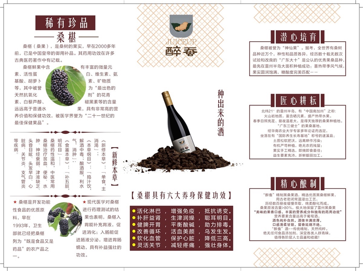 醉蚕桑葚酒，广东三健士