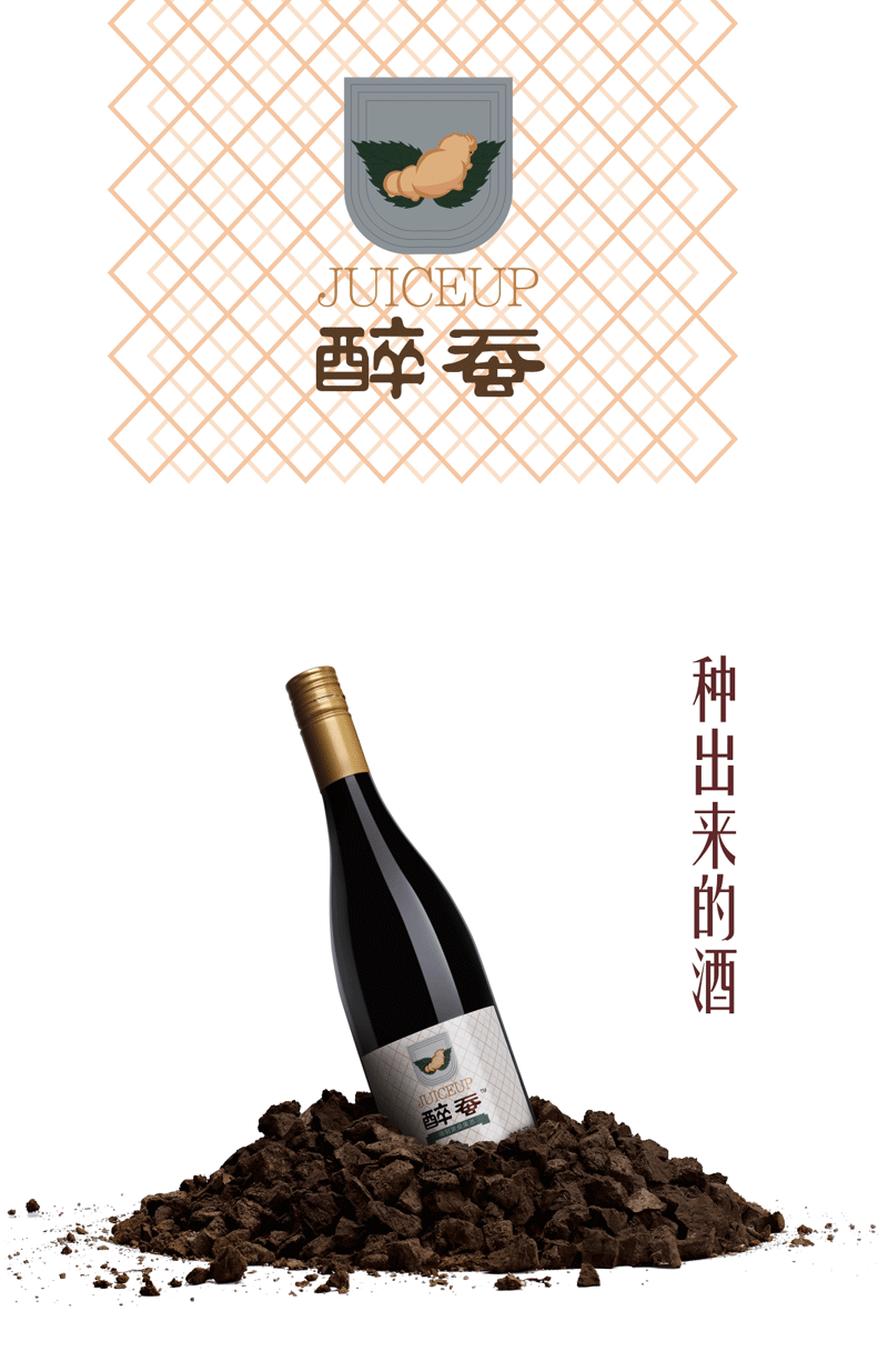 醉蚕精制黑桑果酒古法桑葚酒